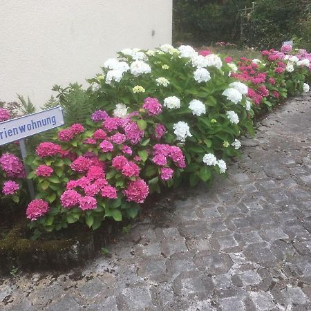 Ferienwohnung Sponheim Traben-Trarbach Esterno foto