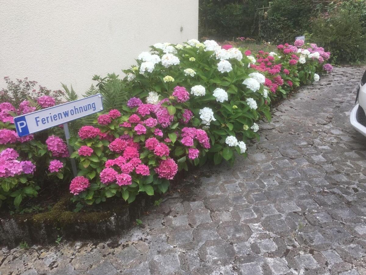 Ferienwohnung Sponheim Traben-Trarbach Esterno foto